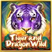 Tiger and Dragon Wild game icon